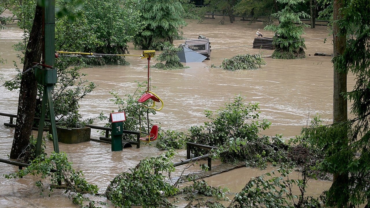 Die Prüm fließt nach heftigen Regenfällen durch den Eifel-Zoo.