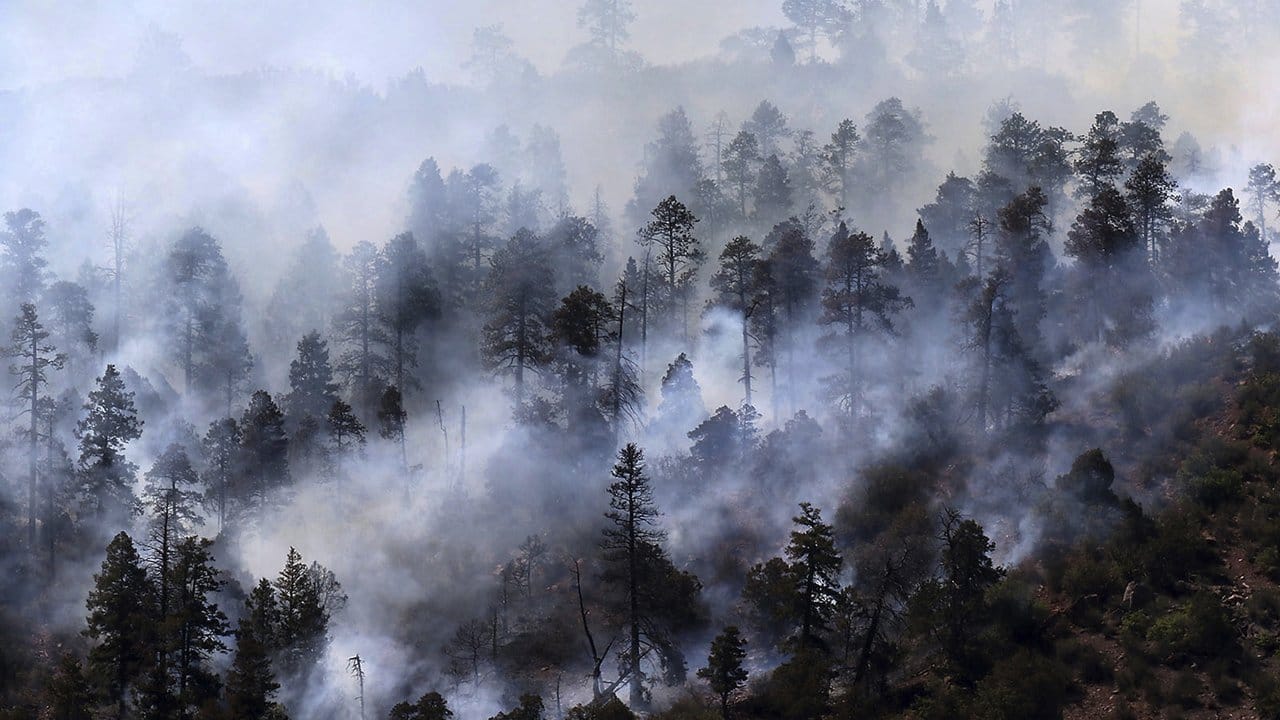 Heftige Waldbrände toben im westlichen US-Bundesstaat Colorado und zwingen immer mehr Menschen zur Flucht.