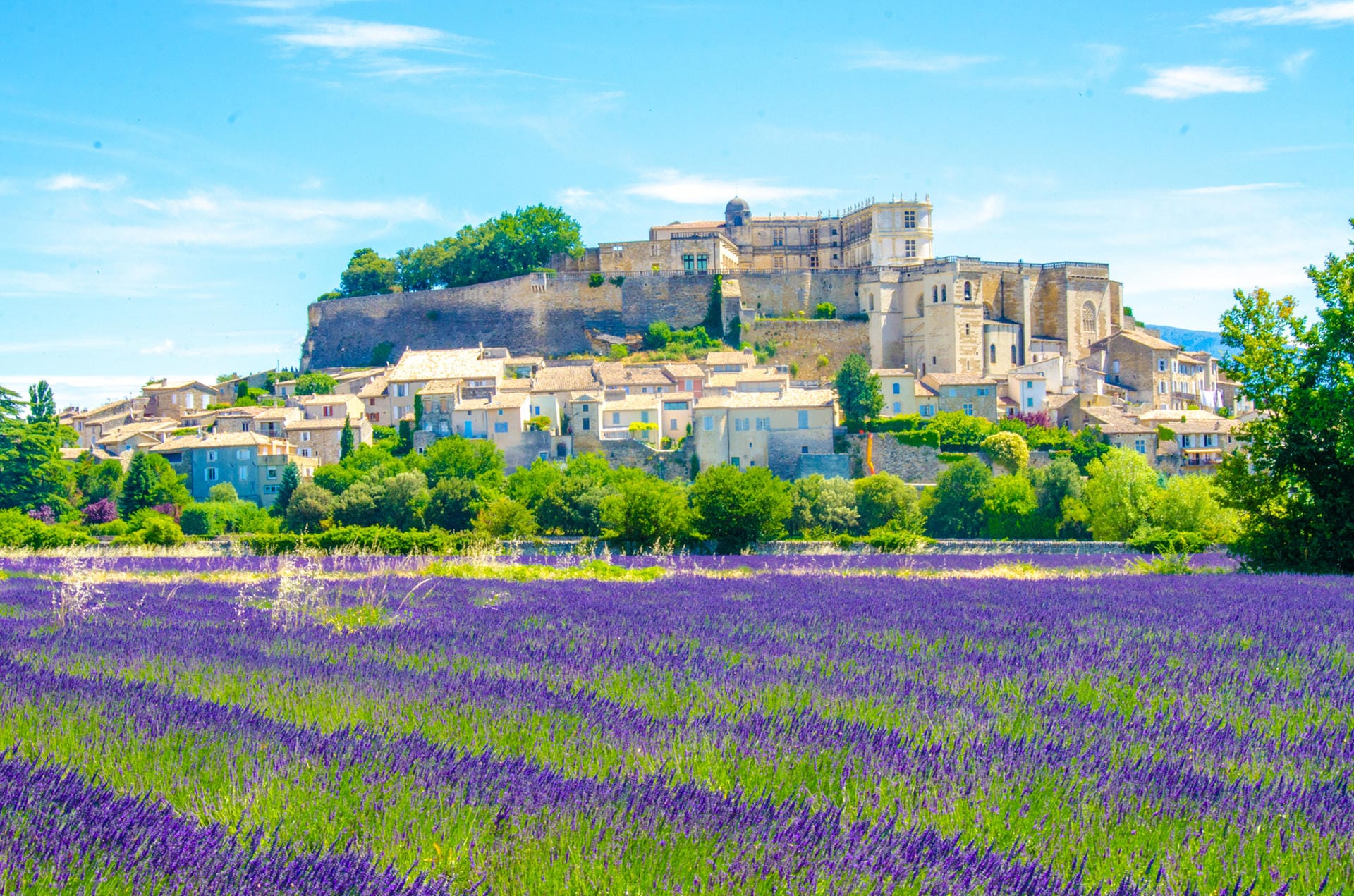 Sommer in der Provence: Die Region dient seit Jahrhunderten Künstlern als Inspiration.