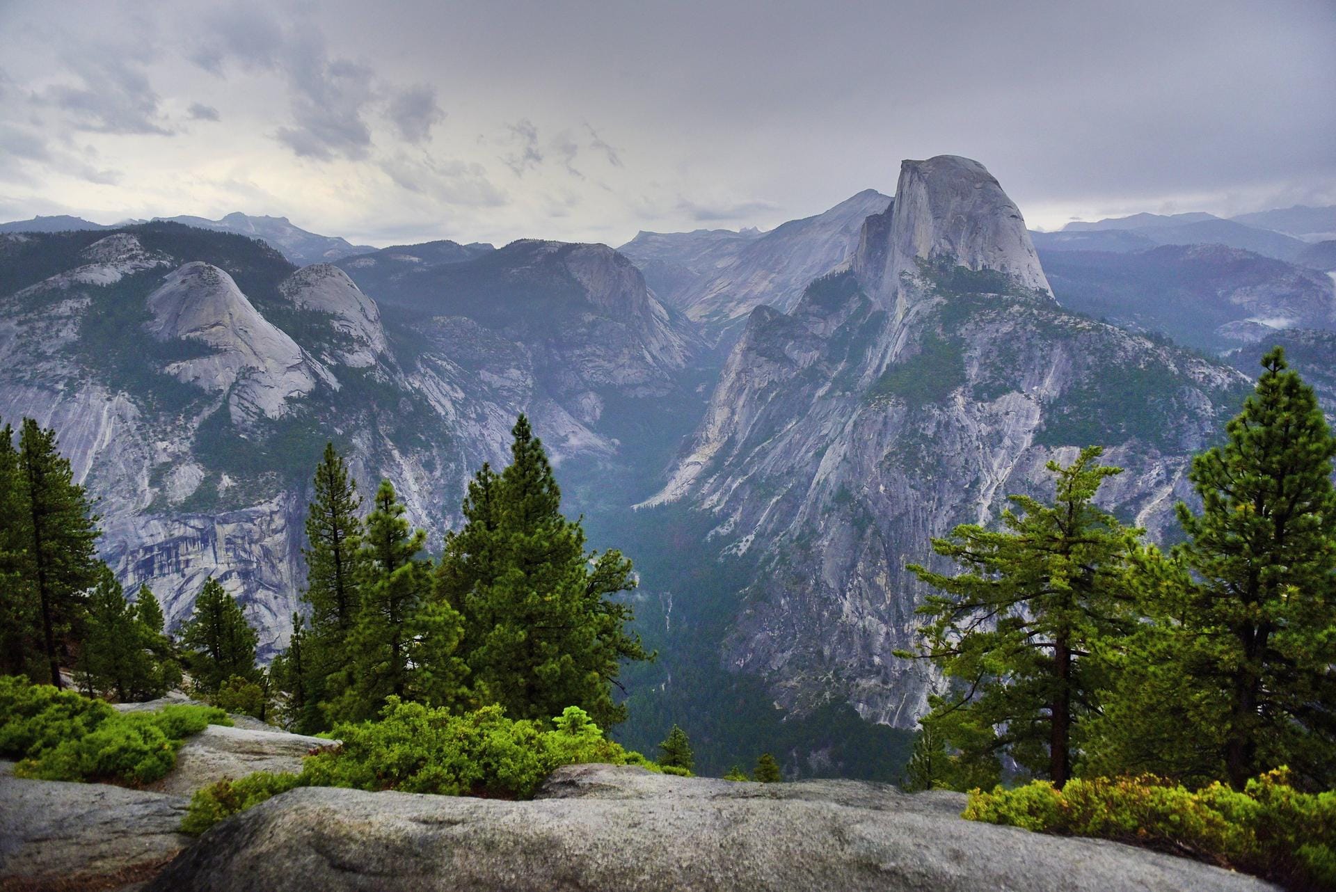 Yosemite Nationalpark: Er liegt 300 Kilometer östlich von San Fansisco und beherbergt eine große Artenvielfalt. Schwarzbären, Rotwild und verschiedene Vogelarten verstecken sich in dichtem Wald und großen Felsformationen.