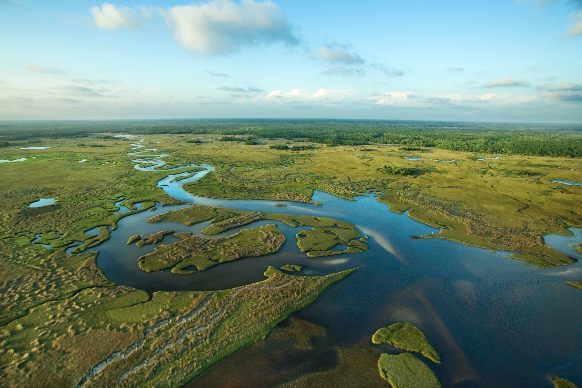 Everglades: An der Ostküste der USA liegt dieser subtropische Nationalpark. Die sumpfartige Landschaft beherbergt die einzigen wildlebenden Flamingos der USA und gehört zum UNESCO-Weltkulturerbe.
