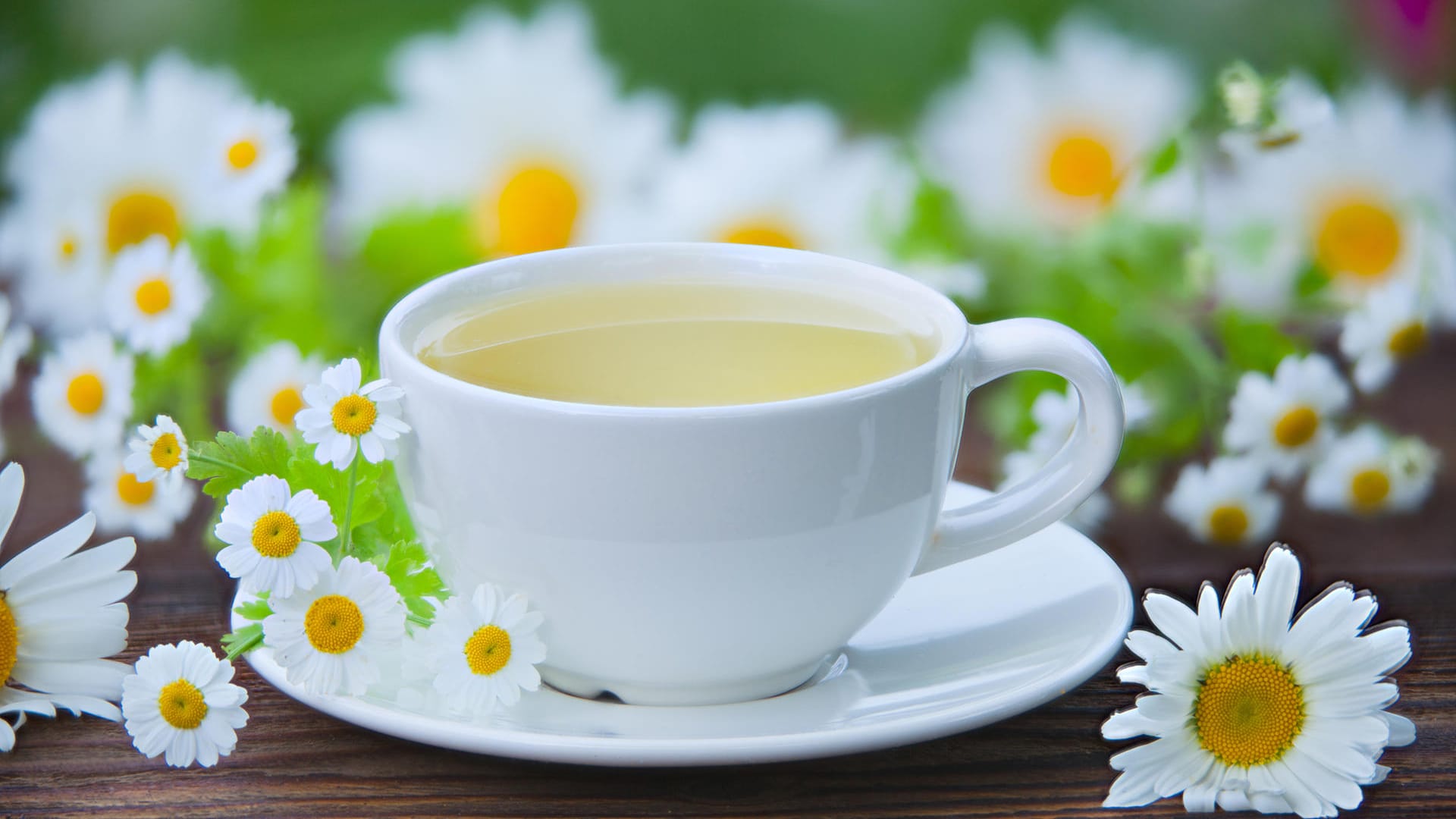 Tasse Tee mit Kamillen im Hintergrund