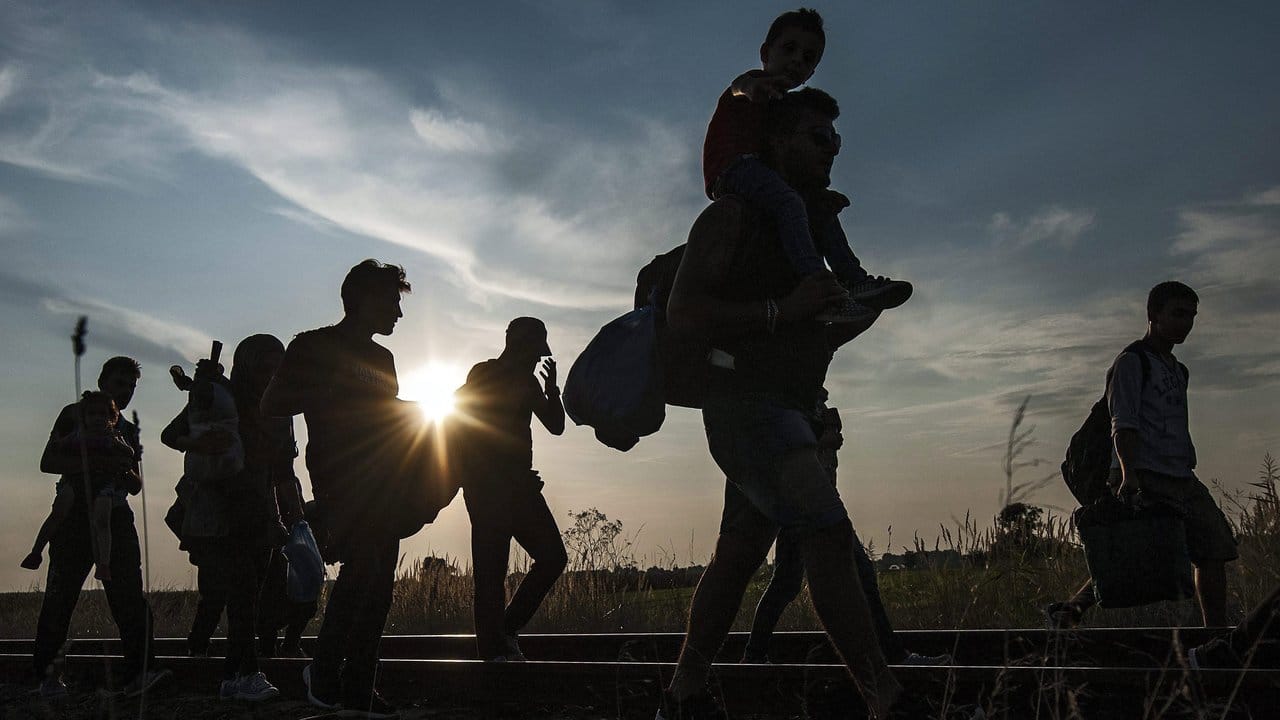 Flüchtlinge im August 2015 an der Grenze zwischen Ungarn und Serbien. Flüchtlinge im August 2015 an der Grenze zwischen Ungarn und Serbien.