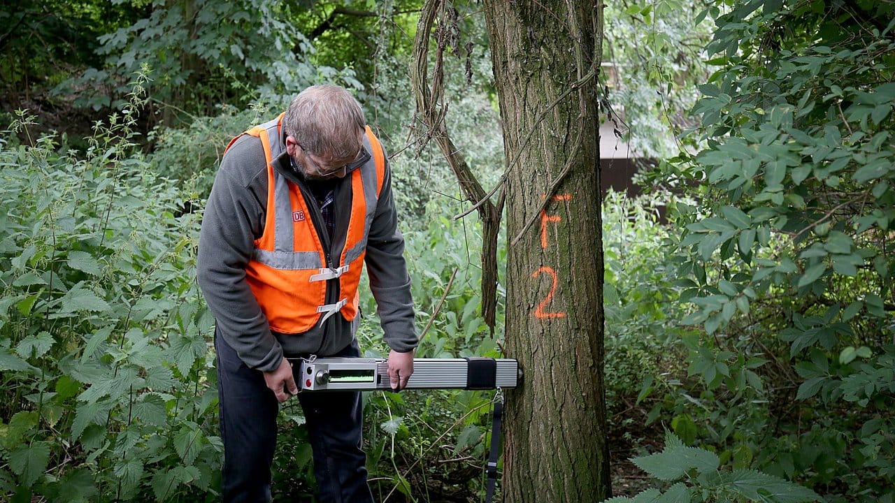 Ein Bahn-Mitarbeiter misst mit einem sogenannten Resistographen die Standfestigkeit eines Baums. Ein Bahn-Mitarbeiter misst mit einem sogenannten Resistographen die Standfestigkeit eines Baums.
