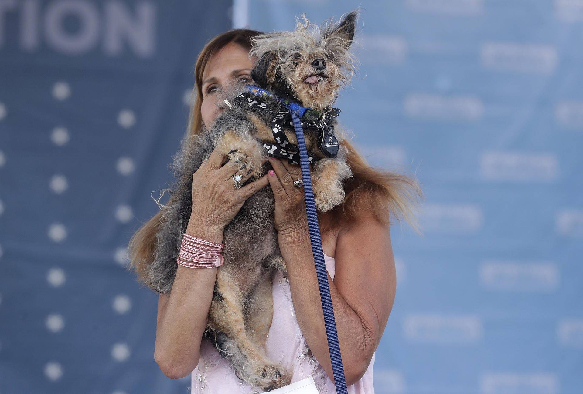 World's Ugliest Dog