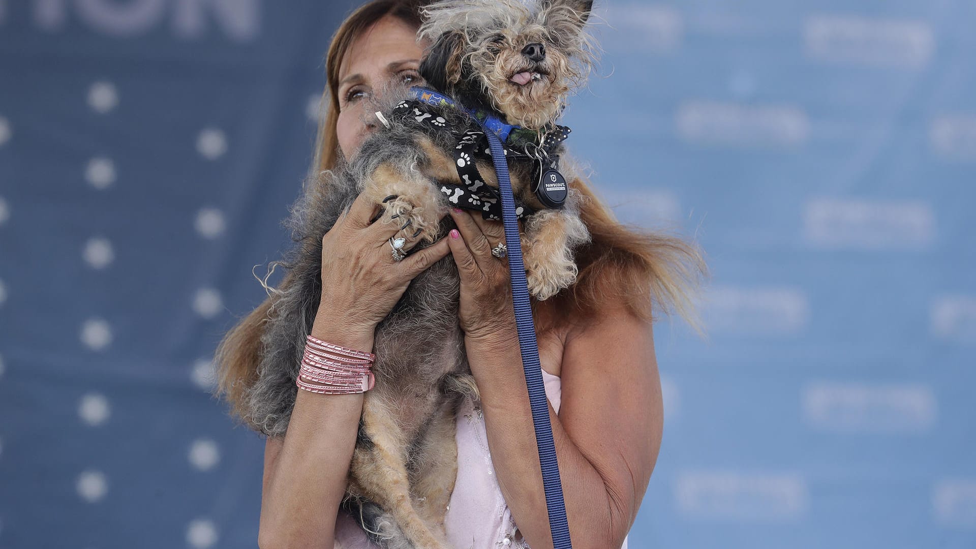 World's Ugliest Dog