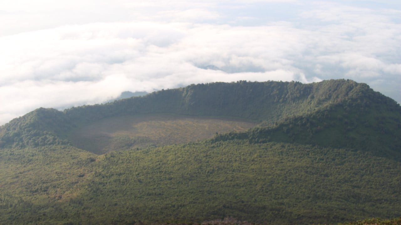 Blick auf den Virunga-Nationalpark. Blick auf den Virunga-Nationalpark.