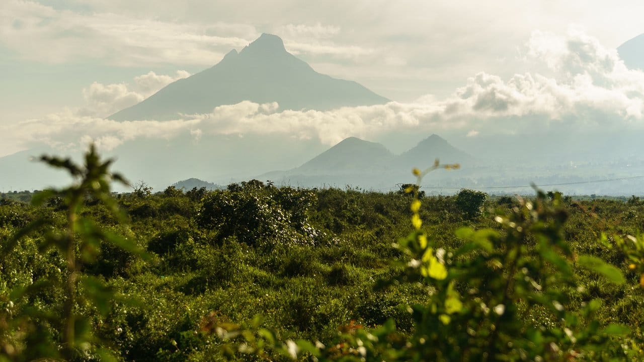 Der Virunga-Nationalpark ist etwa drei Mal so groß wie das Saarland. Der Virunga-Nationalpark ist etwa drei Mal so groß wie das Saarland.