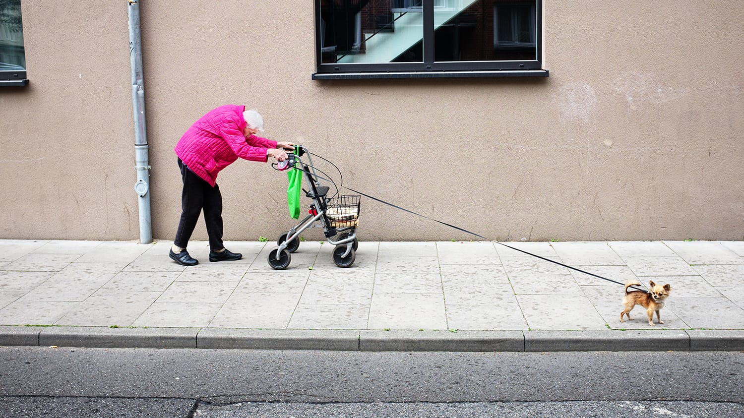 "Die reizende Dame in ihrem Viertel, trotz ihres fortgeschrittenen Alters. Immer stilvoll, farbenfroh und guter Laune; sie lächelt stets und beklagt sich nicht, obwohl der Alltag eine schwierige Herausforderung ist. Sie ist niemals ohne ihren besten Freund zu sehen, ihren kleinen Hund", betont Manuel Armenis, Gewinner der Kategorie "Straßenfotografie".