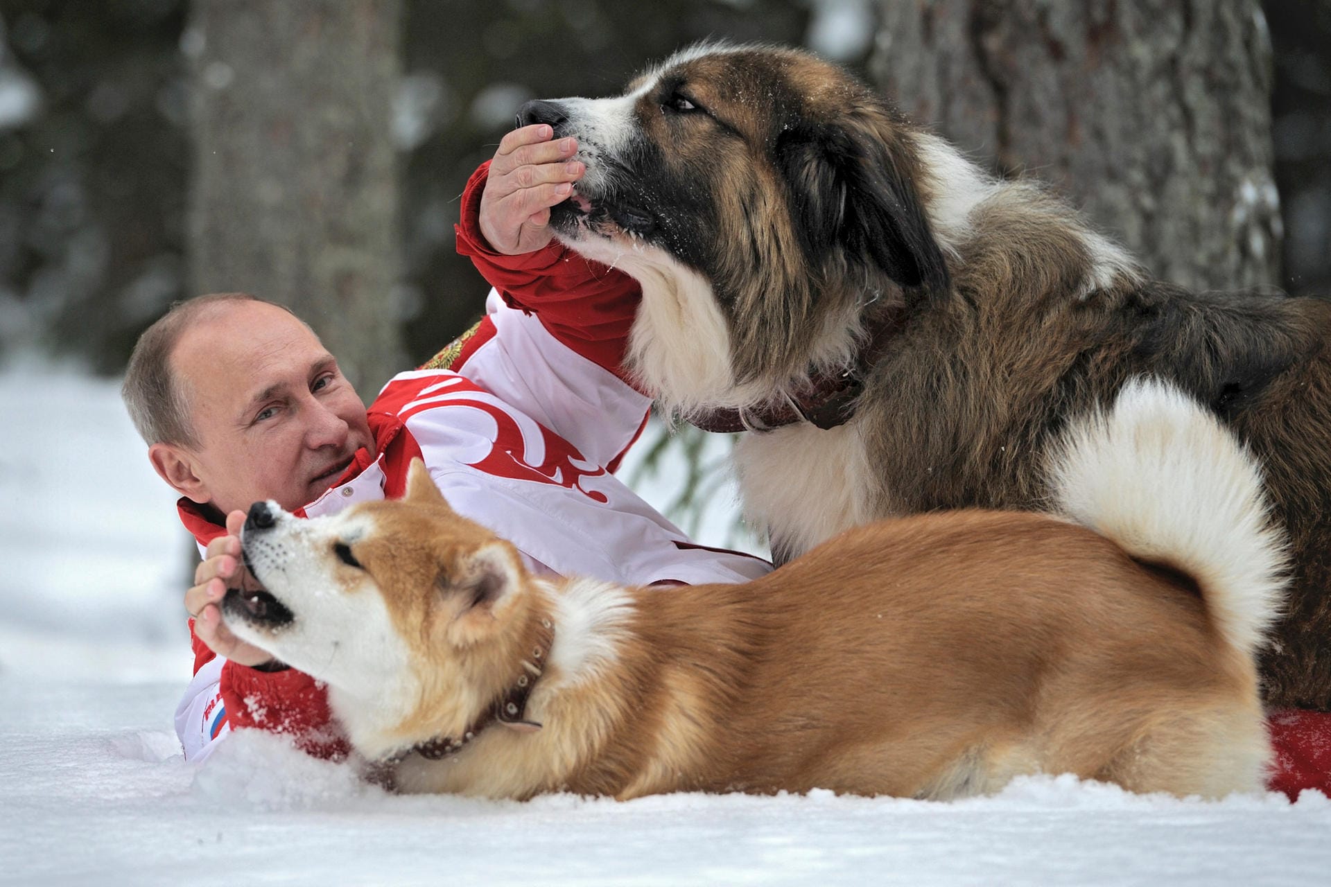 Dafür hat Putin Hunde. Oooooooooohhhhhhhhh.