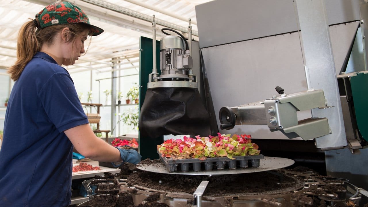 Inzwischen erleichtert auch moderne Technik die körperliche Arbeit.
