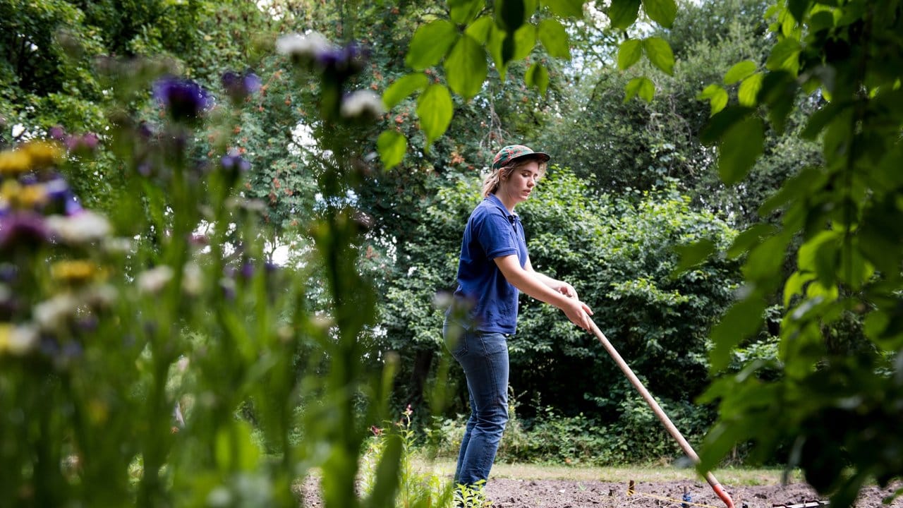 Ab ins Beet: Mit einem Reihenzieher bereitet Rachel Ulrich im Garten des Schul-Umwelt-Zentrums in Berlin den Boden vor, um Blumen einpflanzen zu können.