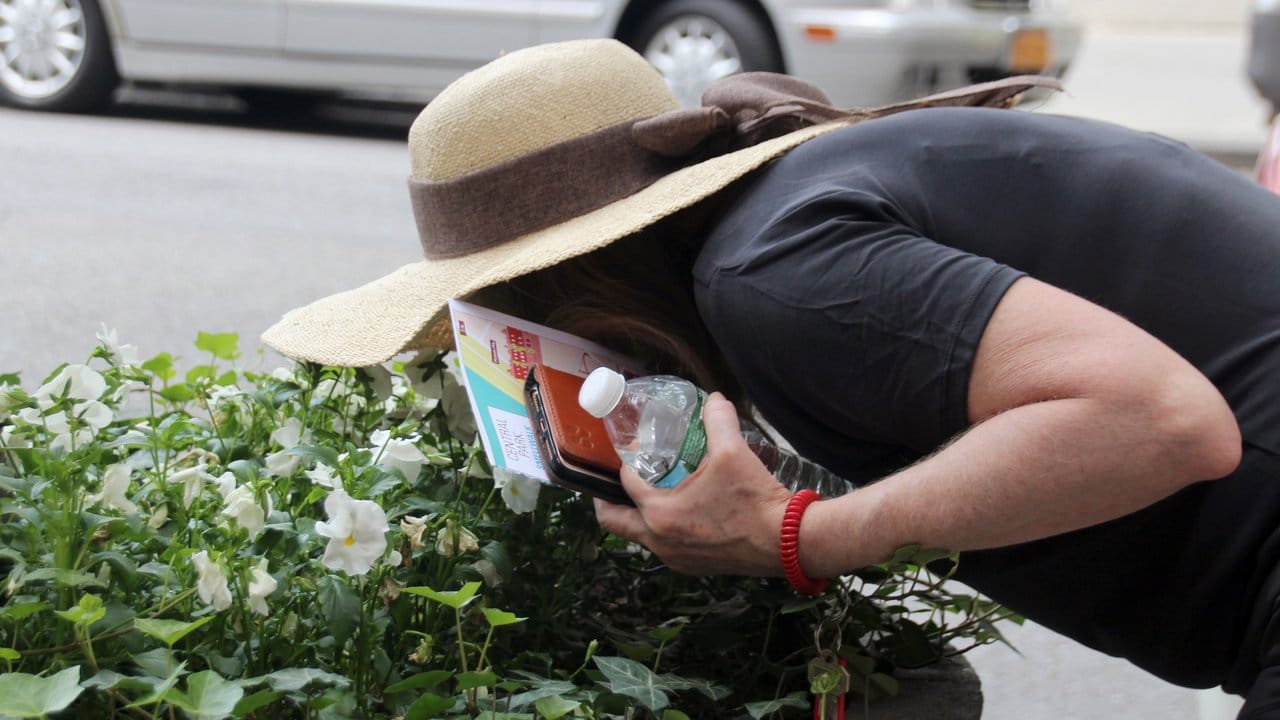 Die Teilnehmerin einer "Riech-Tour" steckt ihre Nase in ein Blumenbeet am Straßenrand.