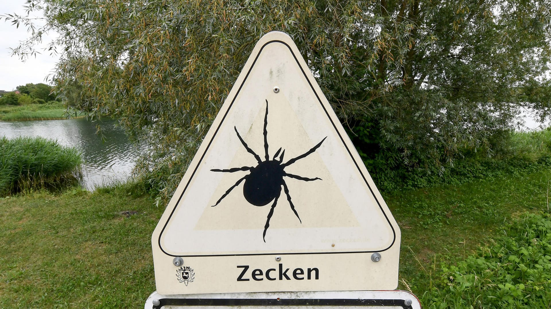 Ein Schild warnt vor Zecken: Mit dem anhaltend freundlichen Sommerwetter wächst das Risiko eines Zeckenbisses.