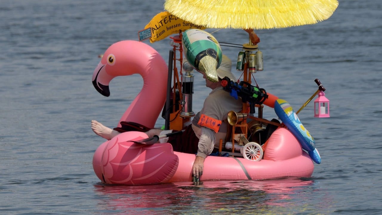 Mit einem Flamingo gemütlich auf der Donau.