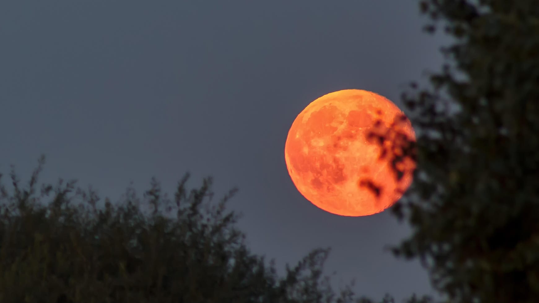 Blutmond