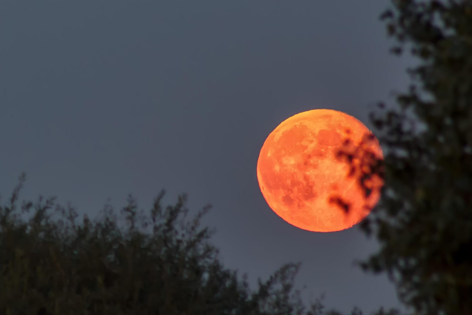 Blutmond