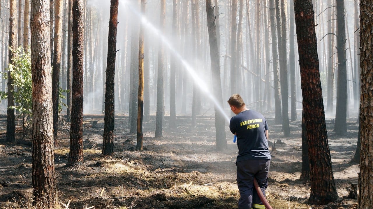 Feuerwehrmann löscht ein Feuer in einem Waldgebiet bei Fichtenwalde. Feuerwehrmann löscht ein Feuer in einem Waldgebiet bei Fichtenwalde.
