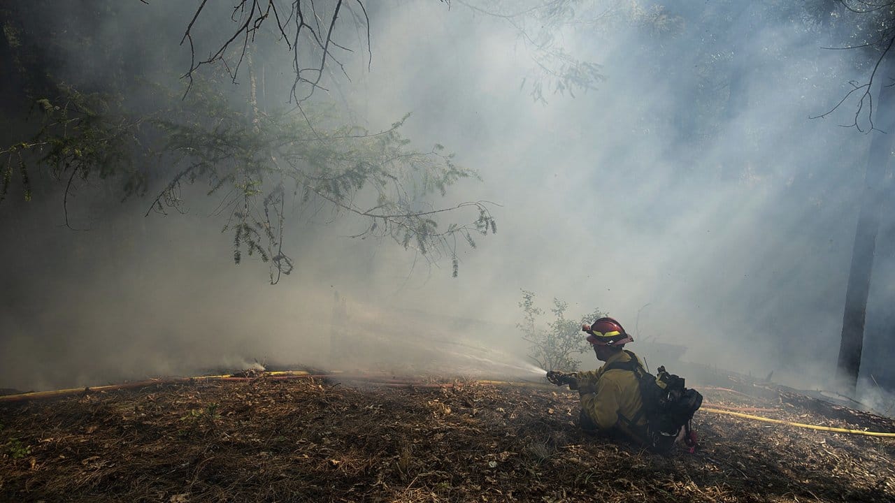Ein Feuerwehrmann kämpft gegen wieder aufflammende Brände. Ein Feuerwehrmann kämpft gegen wieder aufflammende Brände.