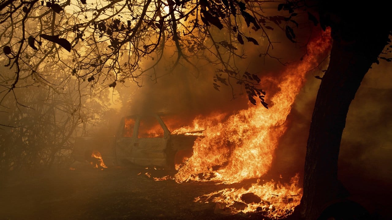 Bei starker Sommerhitze und Trockenheit geht der Kampf gegen die Buschfeuer weiter. Bei starker Sommerhitze und Trockenheit geht der Kampf gegen die Buschfeuer weiter.