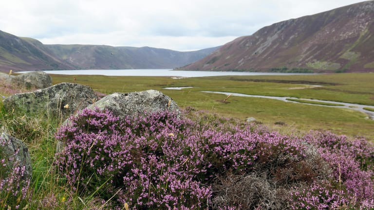 Zwischen steilen Hängen gelegen: Das Loch Muick ist ein Teil des Cairngorms-Nationalparks in den schottischen Highlands.