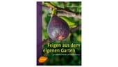 Christoph Seiler, Feigen aus dem eigenen Garten, Verlag Eugen Ulmer, 2016.