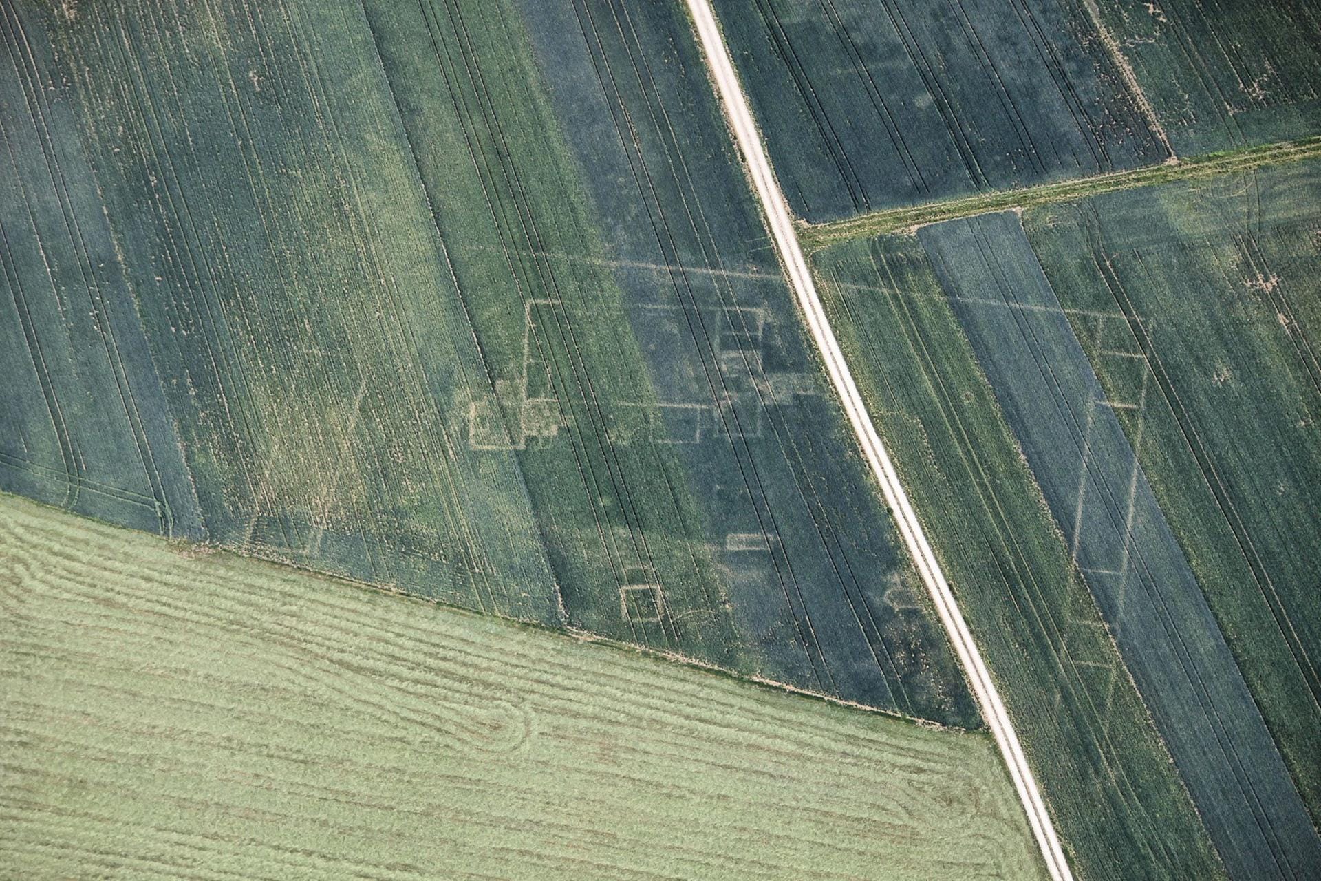 Architekturplan im Getreidefeld: Das Luftbild aus Eitensheim im bayerischen Landkreis Eichstätt zeigt, wie die Pflanzen Reste einer römische Villa nachzeichnen.