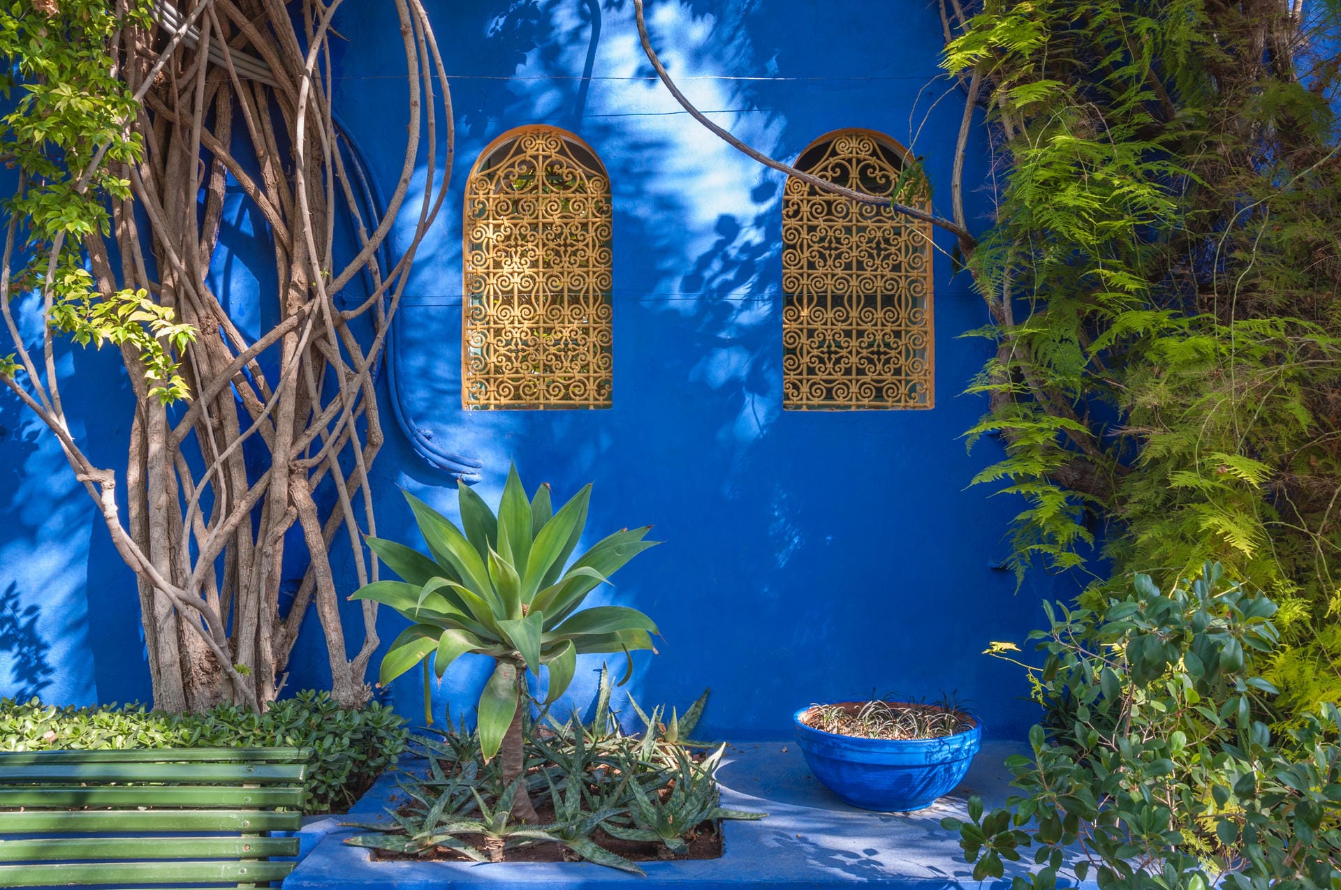 Duftende Oasen, orientalische Gartenkunst: Entdecken Sie die Gärten und Parks von Marrakesch bei einem Streifzug durch Jardin Secret, La-Mamounia-Garten, Cyber Park, Anima-Garten und Jardin Majorelle.