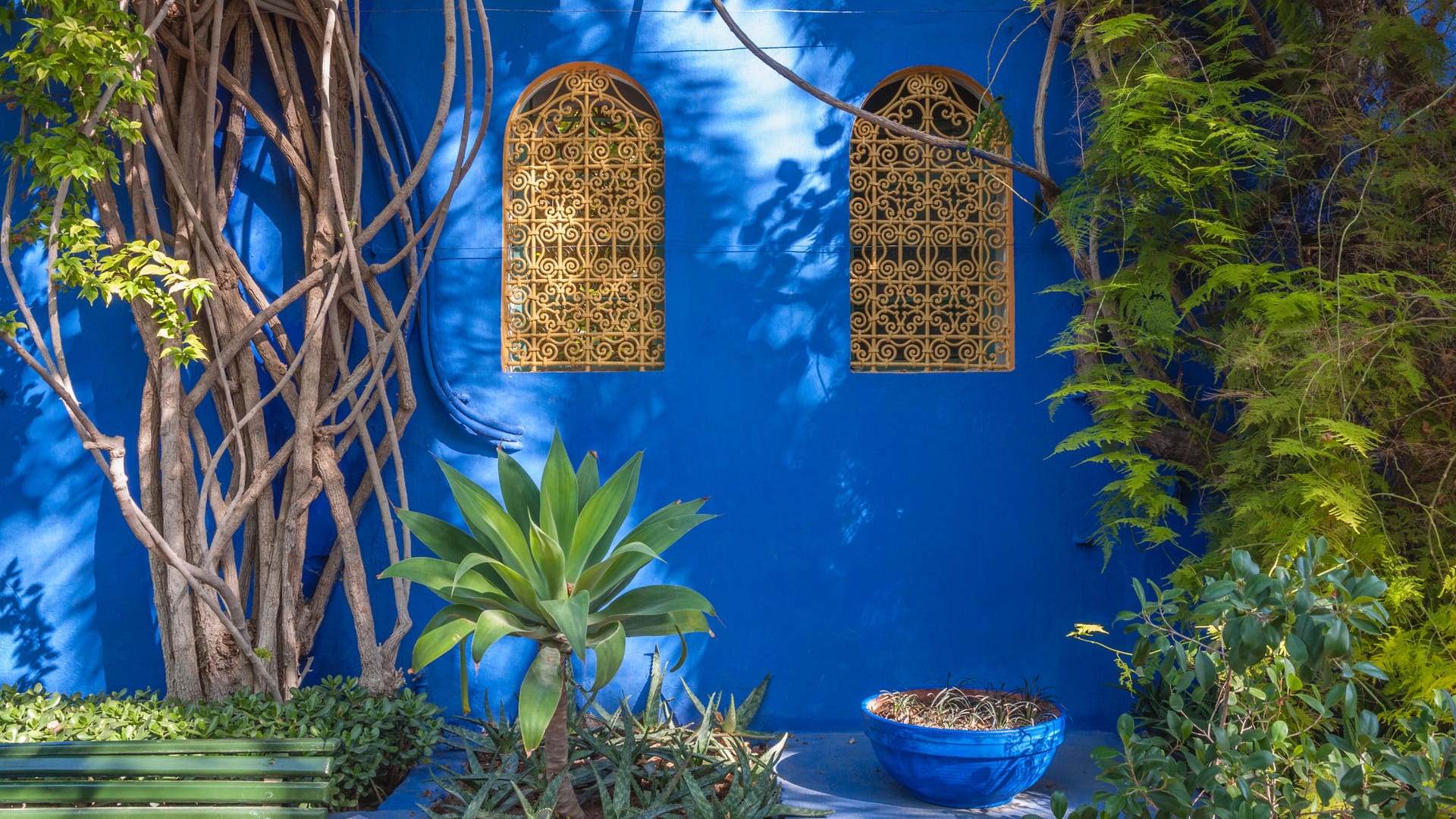 Duftende Oasen, orientalische Gartenkunst: Entdecken Sie die Gärten und Parks von Marrakesch bei einem Streifzug durch Jardin Secret, La-Mamounia-Garten, Cyber Park, Anima-Garten und Jardin Majorelle.