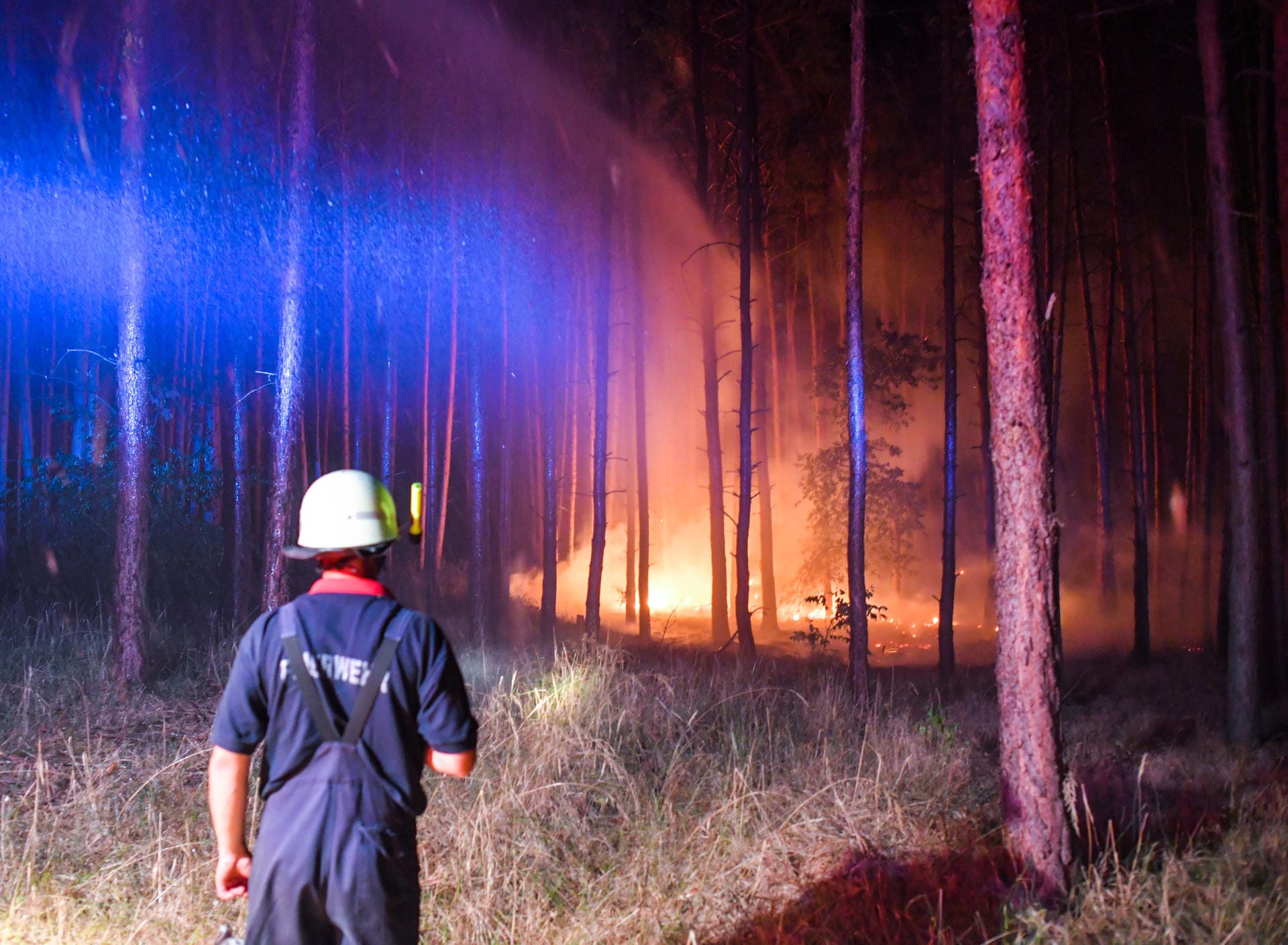Hell erleuchtet ist ein brennender Wald nahe Klausdorf, der gerade versucht wird, mit einem Wasserstrahl aus einem Fahrzeuges der Feuerwehr zu löschen.