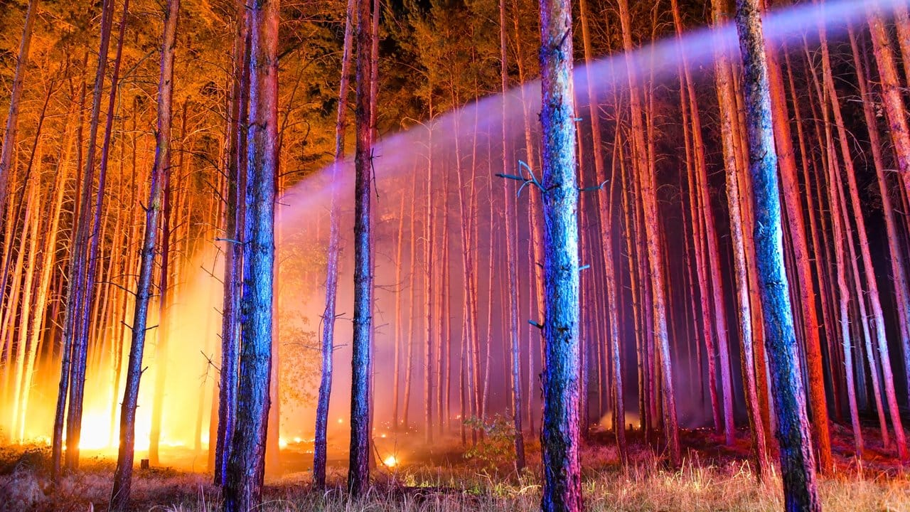 Ein Wasserstrahl der Feuerwehr inmitten eines von Flammen erleuchteten Waldes. Ein Wasserstrahl der Feuerwehr inmitten eines von Flammen erleuchteten Waldes.