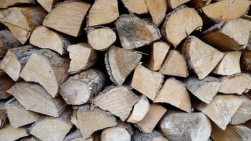 Bevor frisches Holz in den Ofen darf, muss es ein bis zwei Jahre gestapelt trocknen.