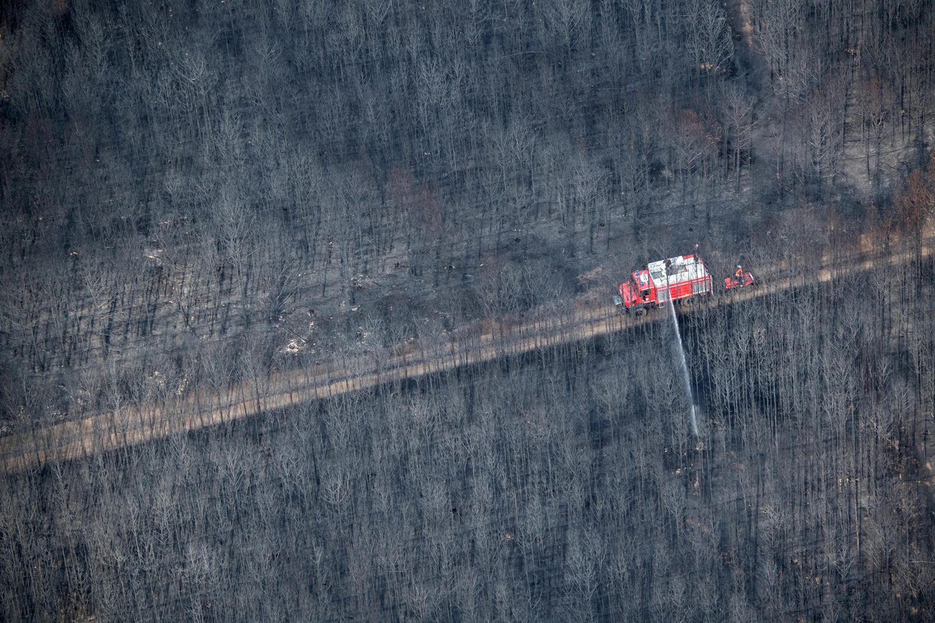 Ein Löschfahrzeug der Feuerwehr patrouilliert in einem verbrannten Kiefernwald.