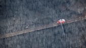 Ein Löschfahrzeug der Feuerwehr patrouilliert in einem verbrannten Kiefernwald.