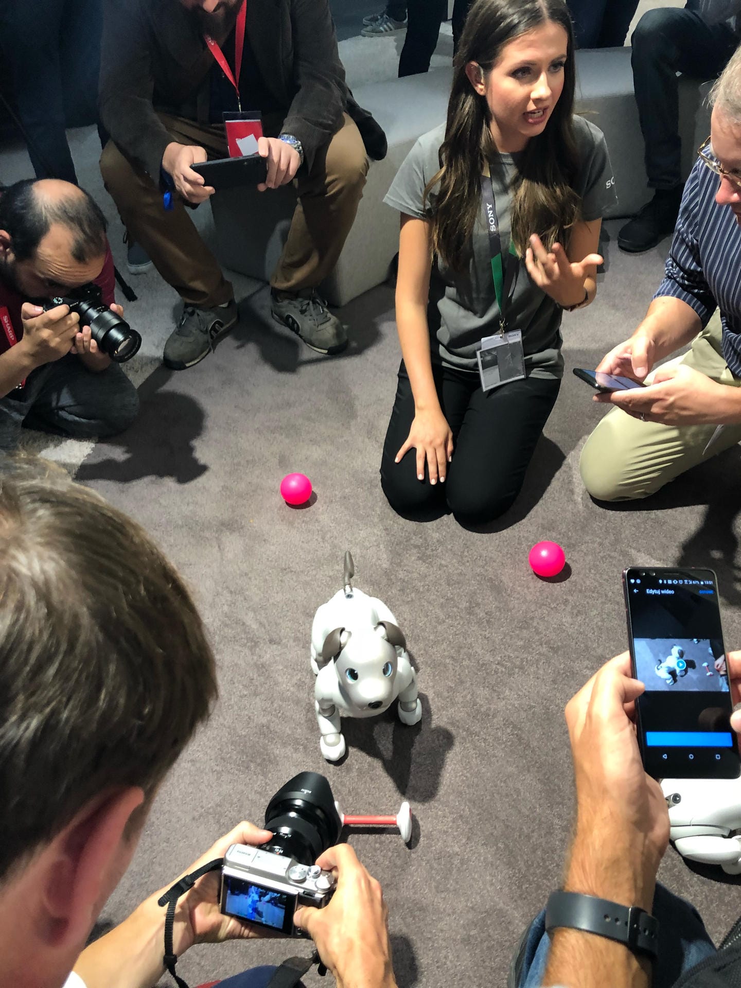Roboter-Hund Aibo am Sony-Stand auf der IFA 2018