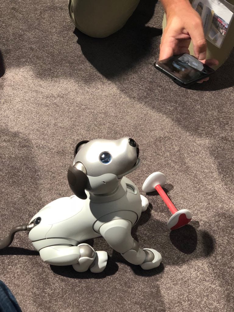 Auf der IFA 2018 zeigte Sony die neueste Version seines Roboterhundes AIBO erstmals in Europa. Das Unterhaltungsgerät erscheint im Herbst in den USA und könnte möglicherweise auch nicht Europa kommen.
