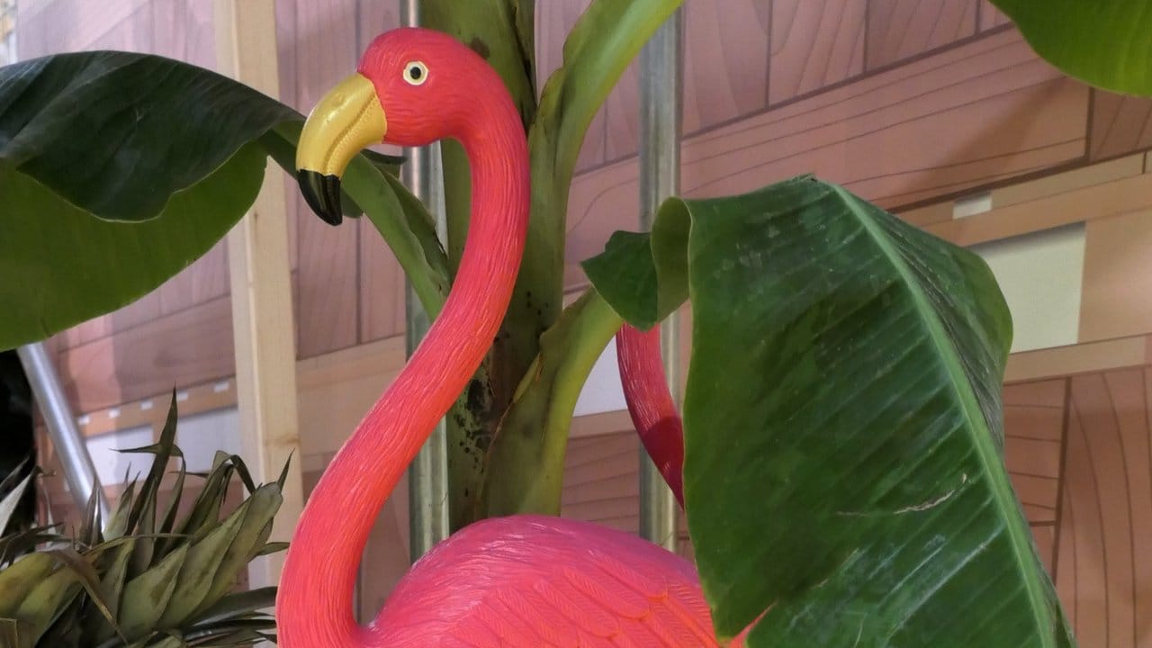 Das Trendtier bleibt 2019 wohl erhalten: Der Flamingo wird auf der Gartenmesse Spoga+Gafa noch immer als Dekoration verwendet.