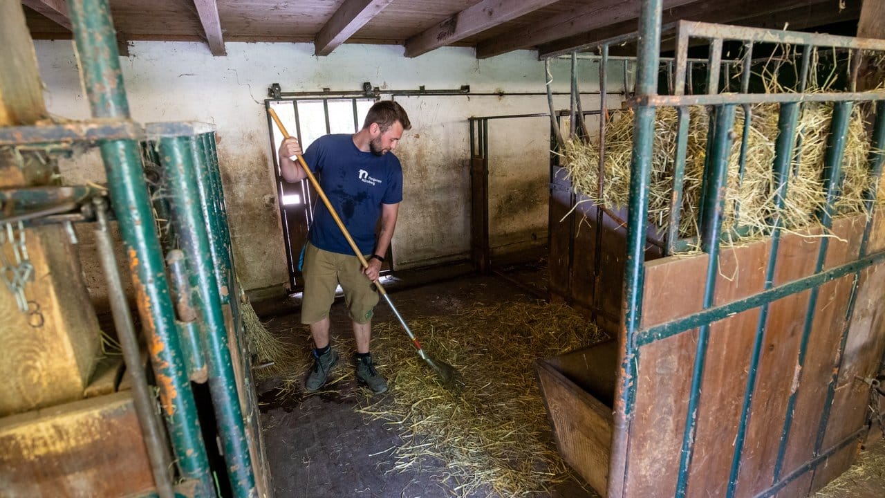 Andrej Streichert reinigt die Ställe der Bisons.