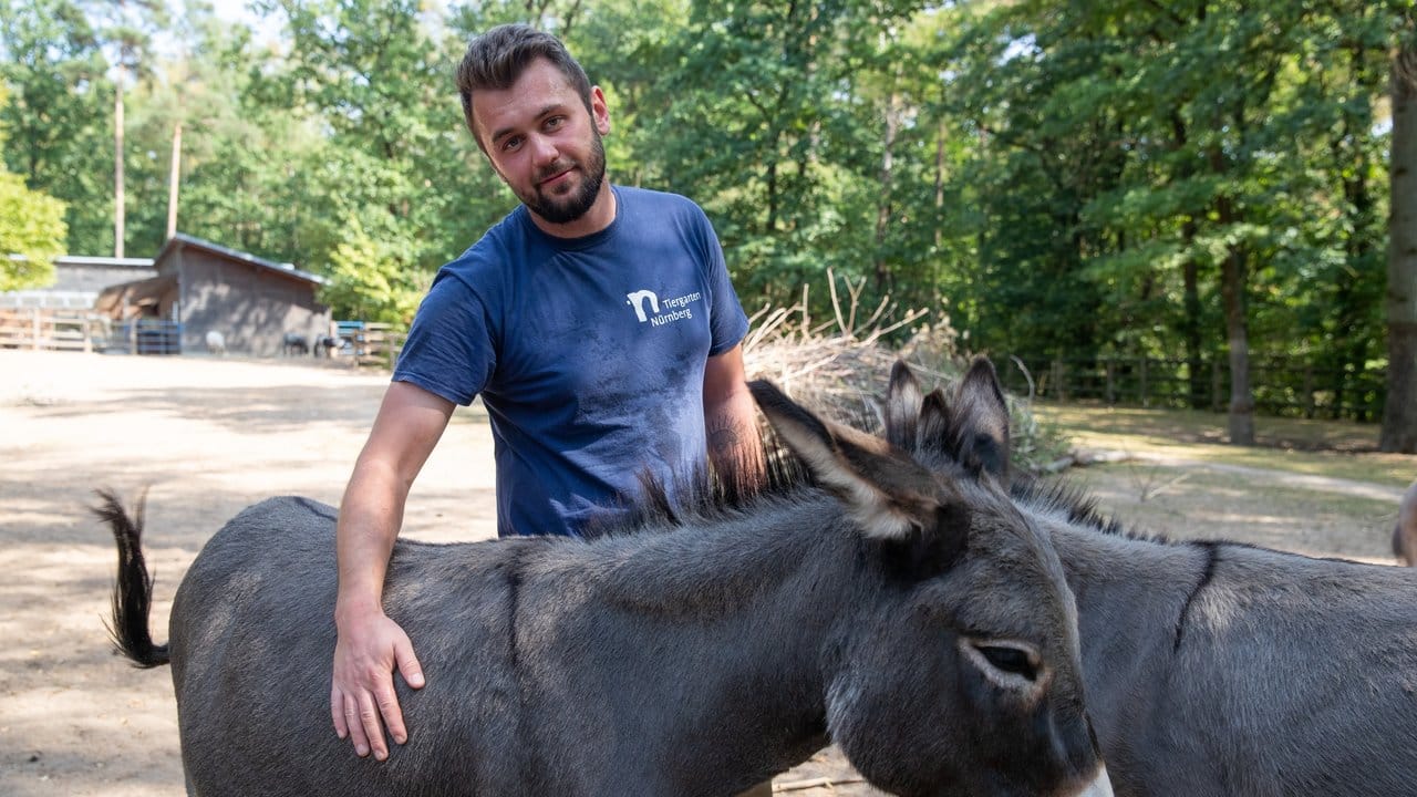 Andrej Streichert absolviert eine Ausbildung zum Zoo-Tierpfleger im Nürnberger Tiergarten.