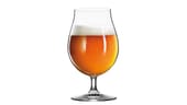 Aus dem Alleskönner, der weinglasähnliche Biertulpe, können verschiedene Biere gut getrunken werden.