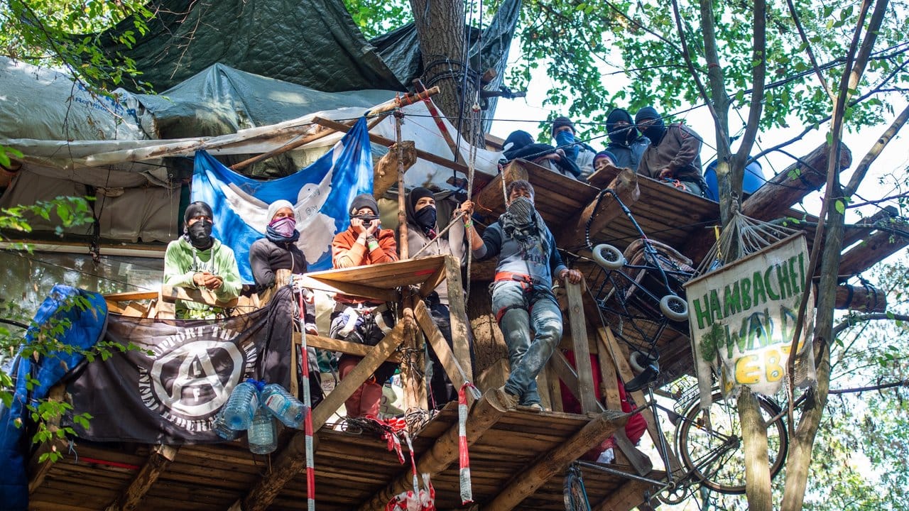 Aktivisten stehen im Hambacher Forst auf einem Baumhaus.