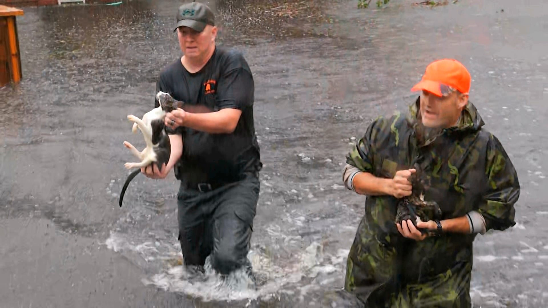Rettung vor dem Sturm: Dieses Videostandbild zeigt Anwohner, die Katzen mit einem Boot gerettet haben.