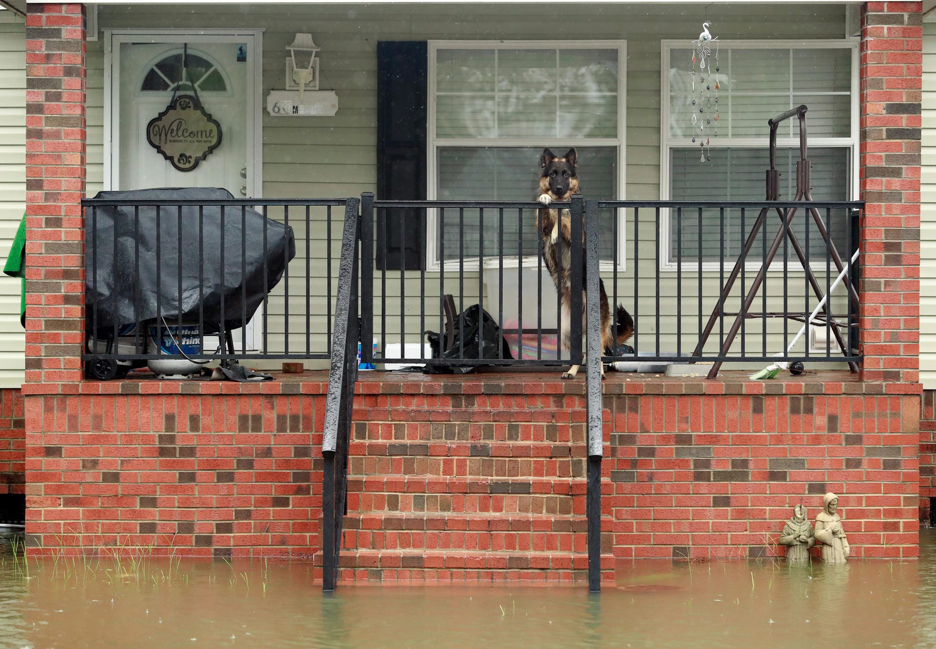 Lumberton, North Carolina: Die Besitzer sind im Haus, während die Hunde auf dem Balkon warten.
