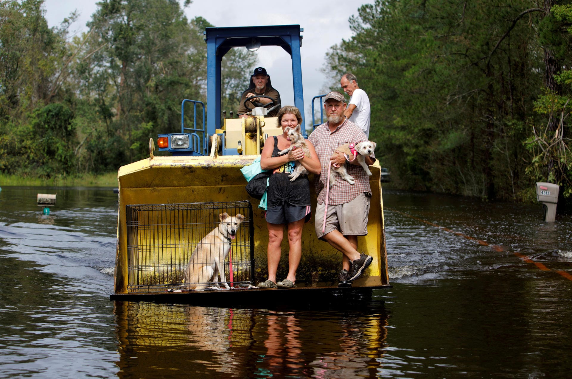 A resident transports evacuees and their pets in the bucket of his tractor as the Northeast Cape Fear River breaks its banks during flooding after Hurricane Florence in Burgaw, North Carolina