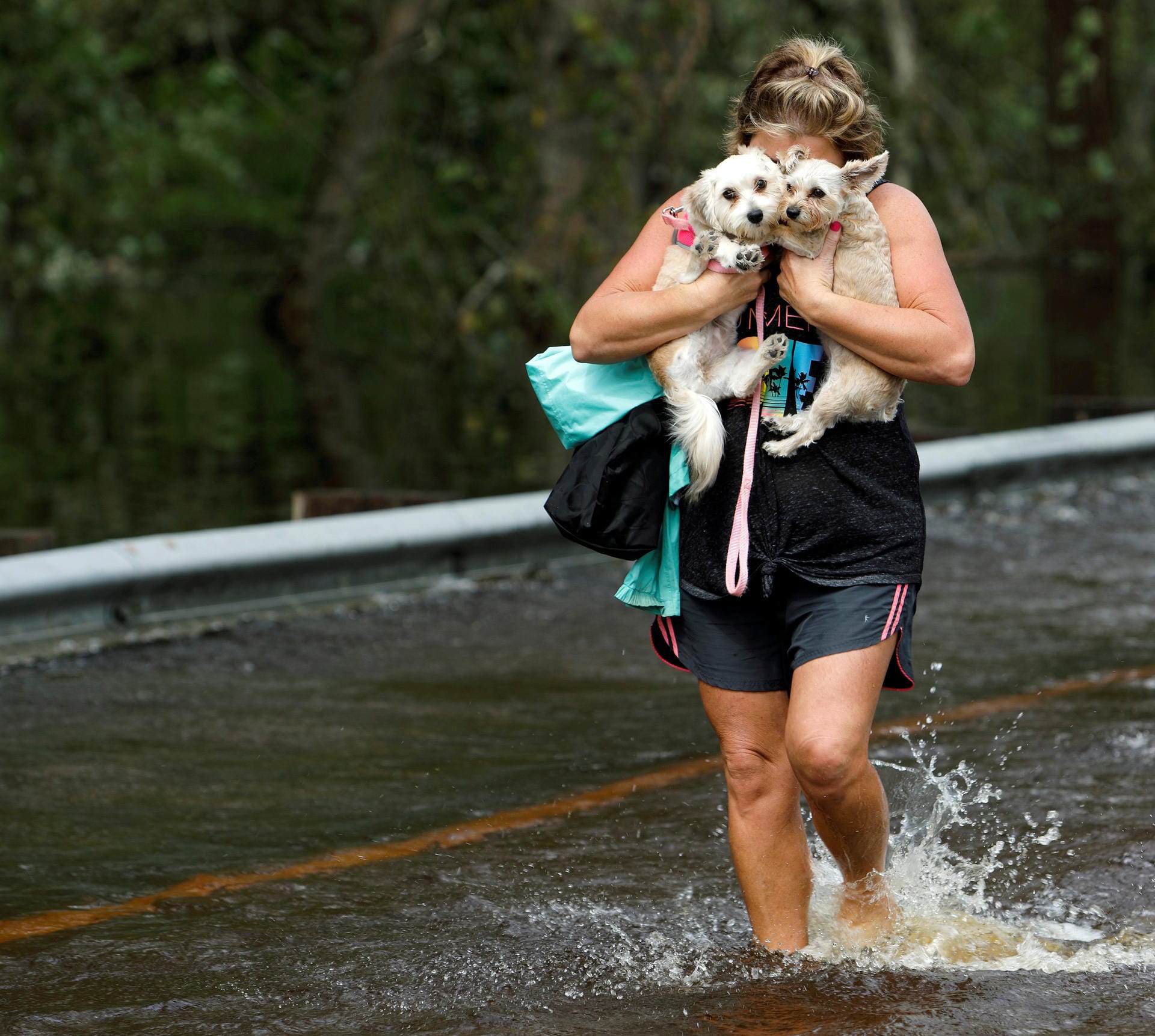 Eine Frau umarmt ihre Hunde: Sie bringt ihre Tiere in Burgaw im US-Bundesstaat North Carolina in Sicherheit.