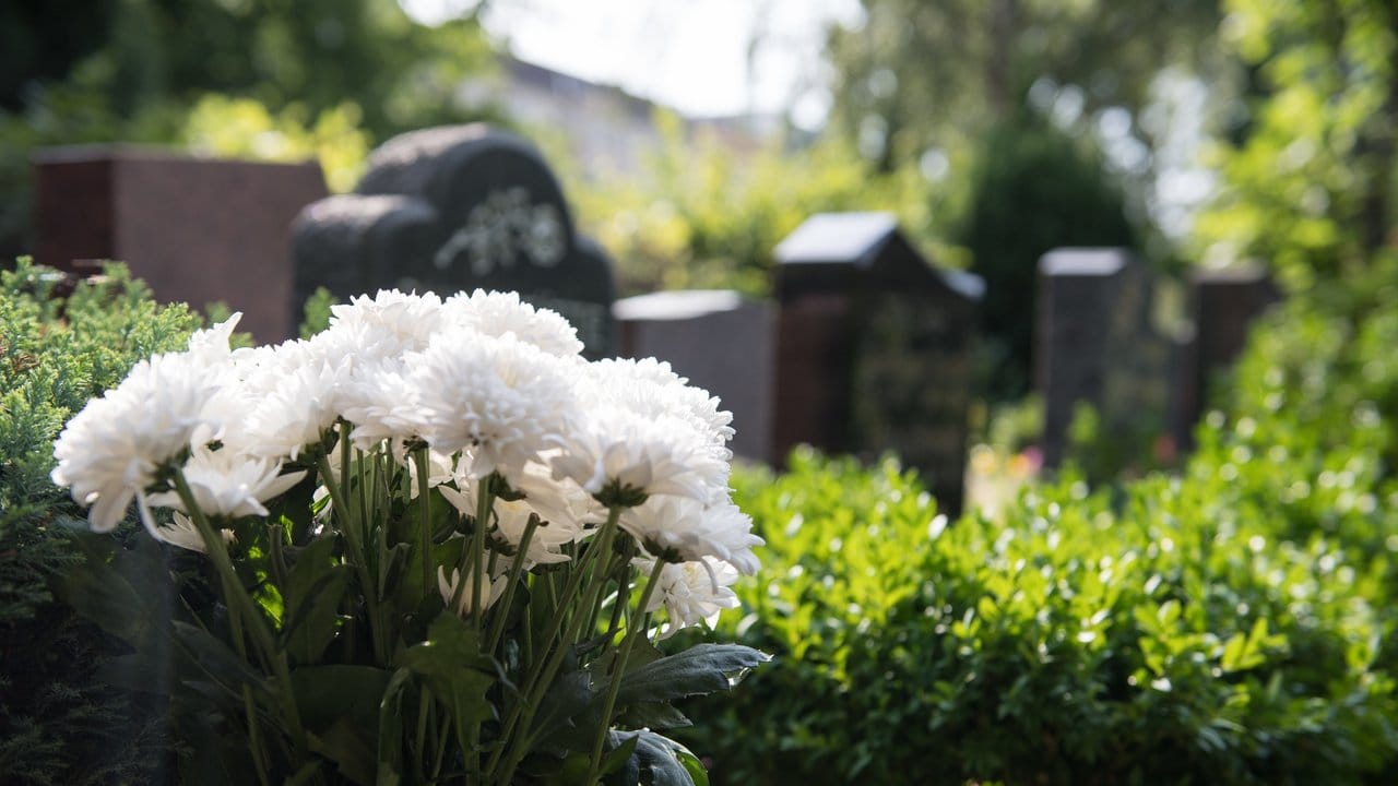 Chrysanthemen bieten sich als Schmuck für das Grab im Herbst an.