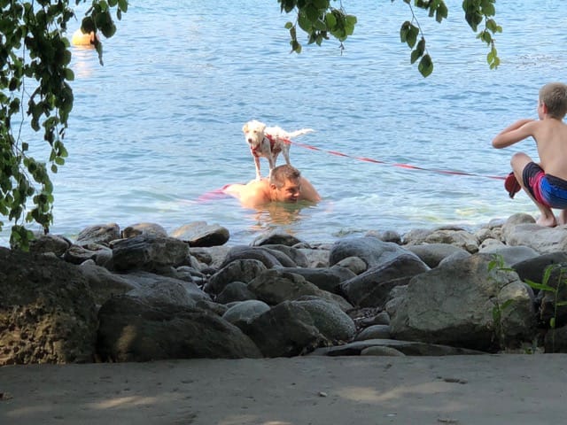 Hund und Mensch im See