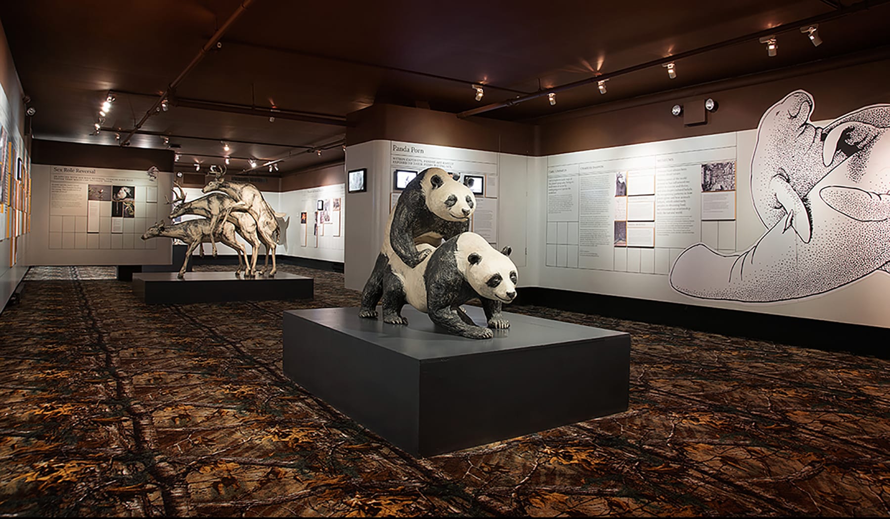 Auch kopulierende Tiere – zum Beispiel Pandabären – bekommen Besucher des Museum of Sex in New York zu sehen.