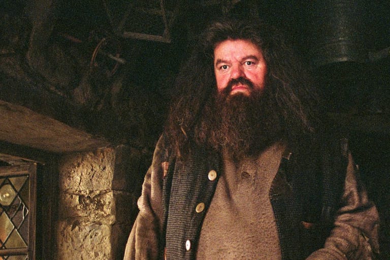 Robbie Coltrane verkörperte in allen acht Filmen Hagrid, den sanften Riesen mit der Mega-Mähne.