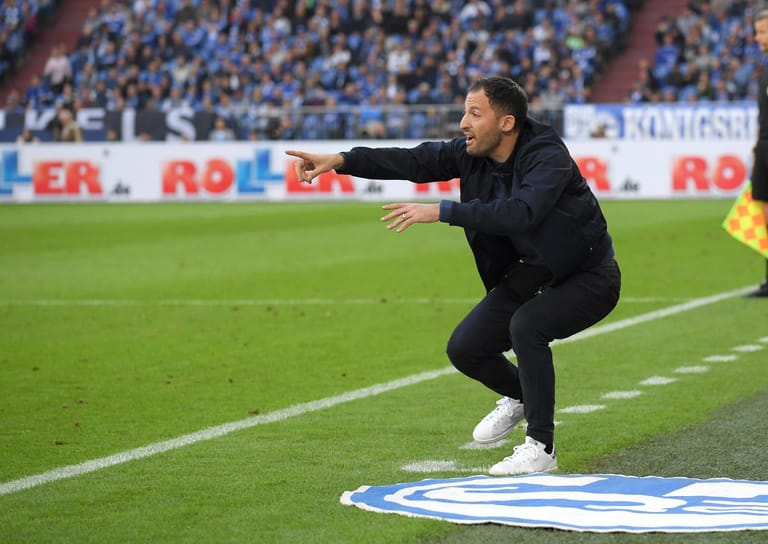 Vollgas an der Seitenlinie: Schalke-Trainer Domenico Tedesco war der Druck anzumerken.